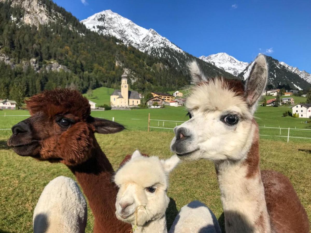 Apartamento Gaestehaus Zum Baeren Wald am Arlberg Exterior foto