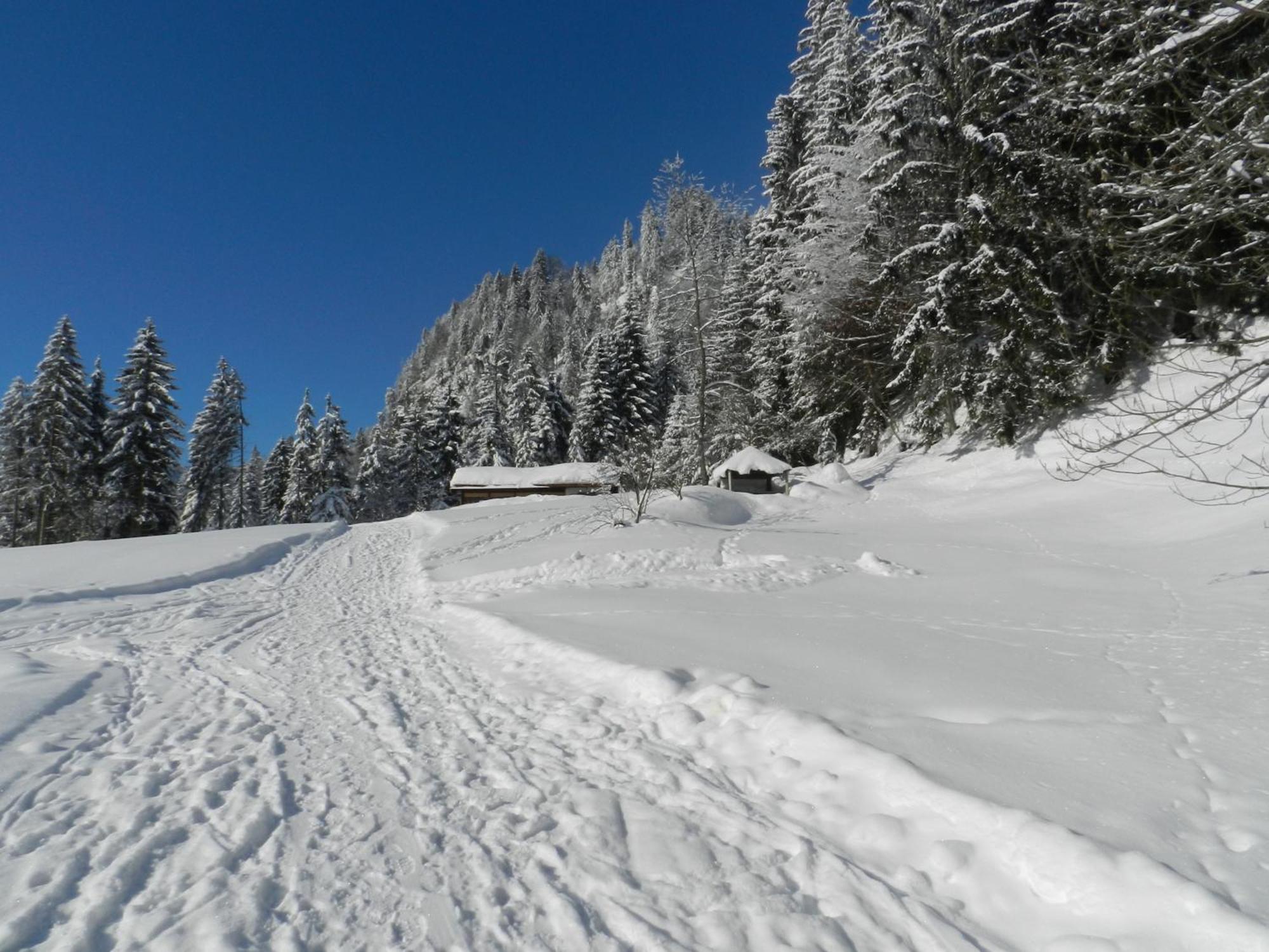 Apartamento Gaestehaus Zum Baeren Wald am Arlberg Exterior foto